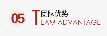 团队优势